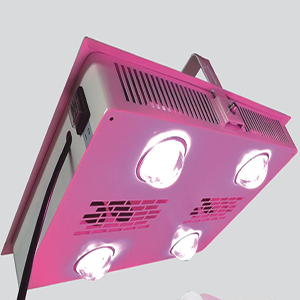 Full Spectrum LED Grow Light